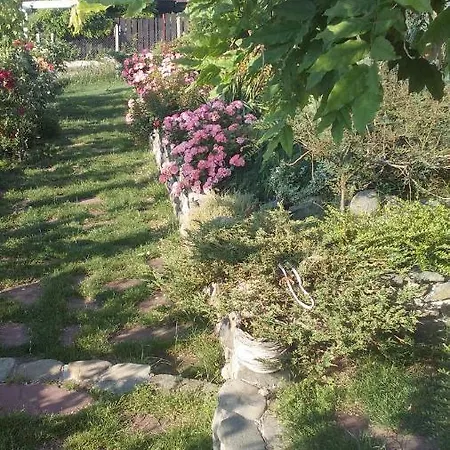 синя луна Гостевой дом Лозенец