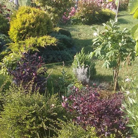 Гостевой дом синя луна 4*