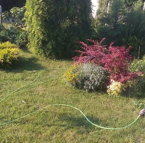 синя луна Gasthuis Lozenets