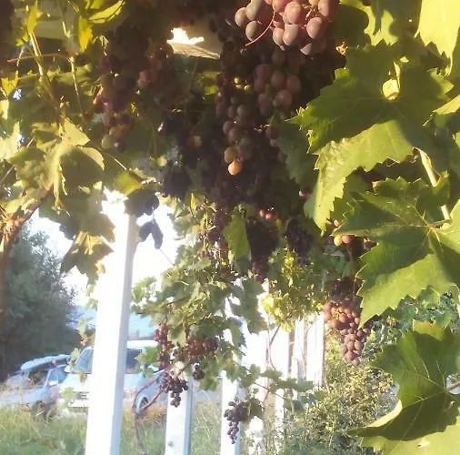 синя луна Gasthuis 4*