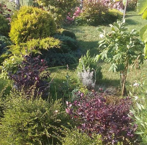 Gasthuis синя луна 4*