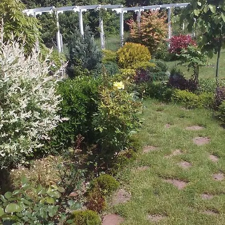 синя луна Łozenec