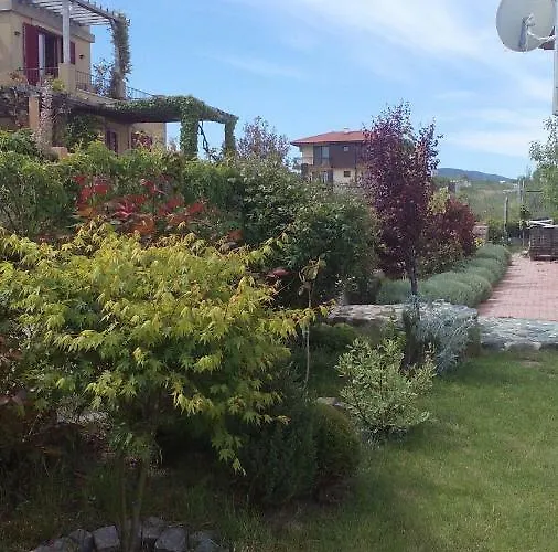 синя луна 4*