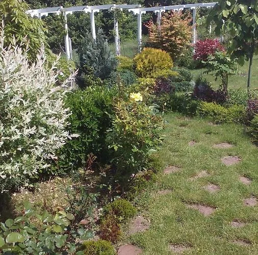 синя луна 로제넷츠