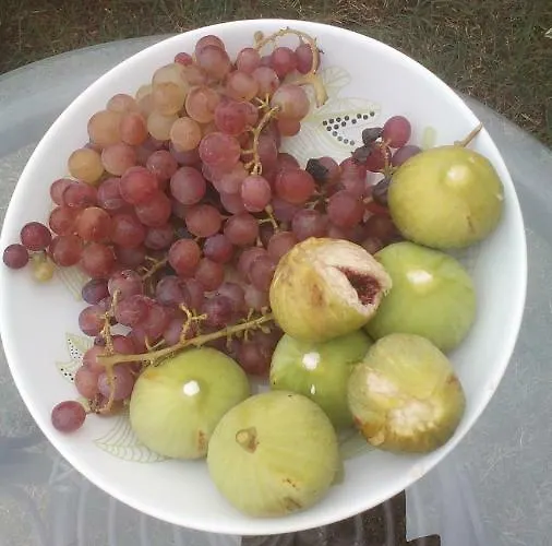 синя луна 4* 로제넷츠